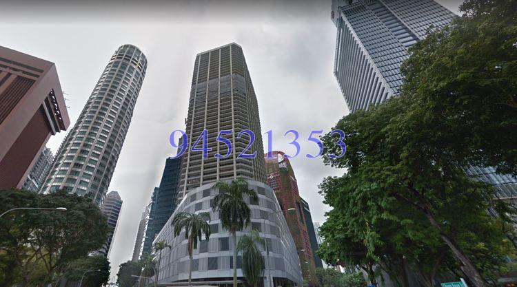 International Plaza thumbnail photo